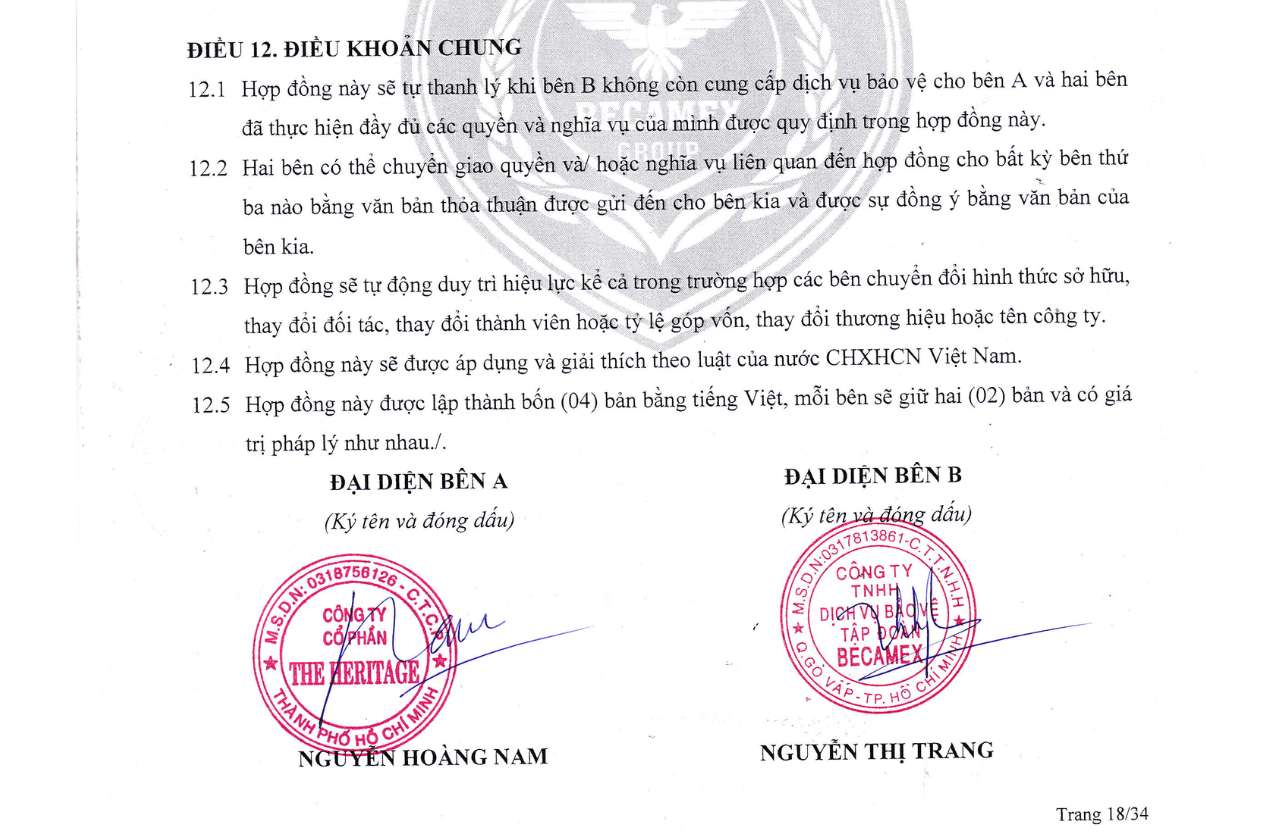 Loại hình