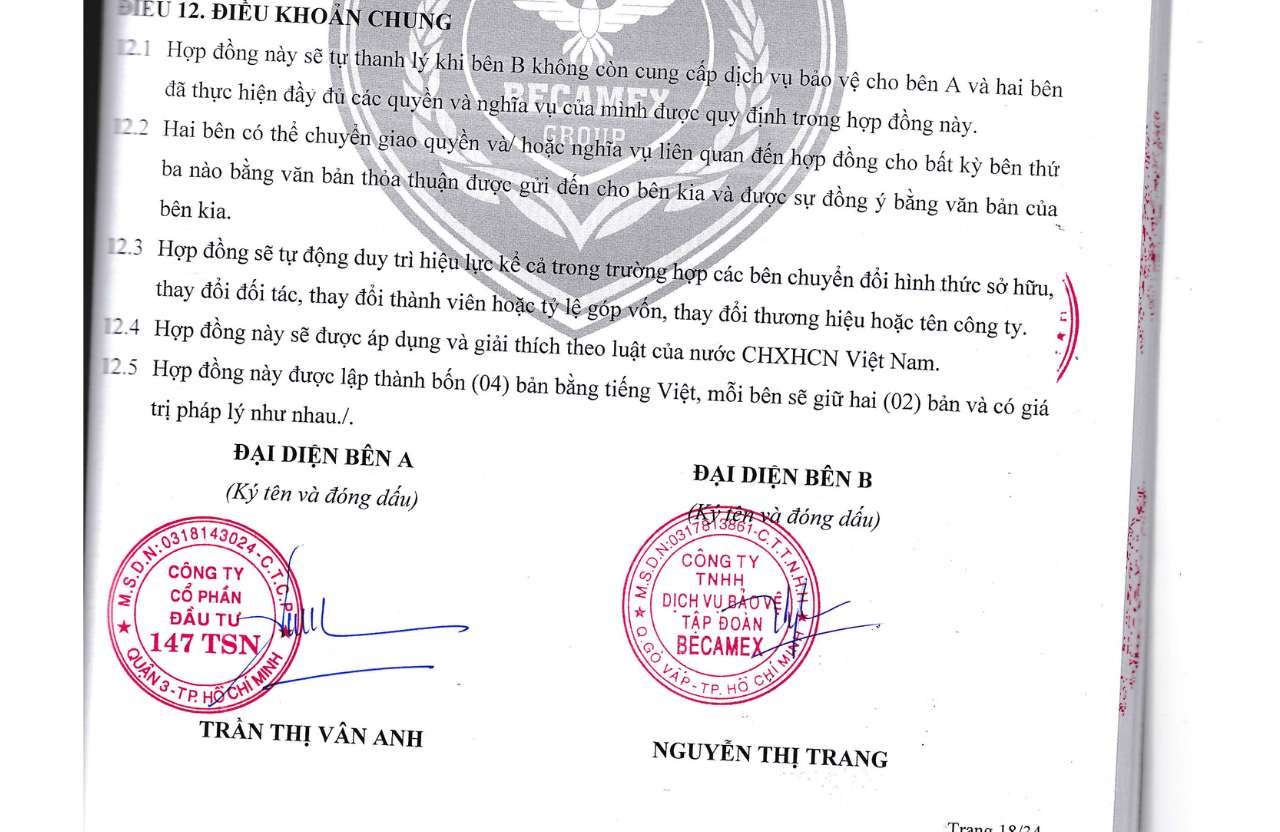 Loại hình